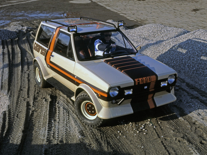 Ford Fiesta Tuareg (1979)