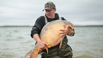 Rekordot döntött hatalmas pontyával egy horgász a Tisza-tavon