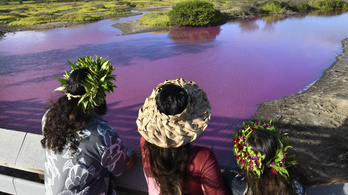 Rejtélyes módon rózsaszínűvé változott egy tó Hawaiin, a szakértők szerint aggodalomra adhat okot