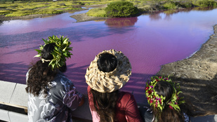 Rejtélyes módon rózsaszínűvé változott egy tó Hawaiin, a szakértők szerint aggodalomra adhat okot