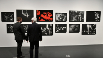 Lekordonozták a melegeket ábrázoló fotósorozatot az egyik magyar múzeumban