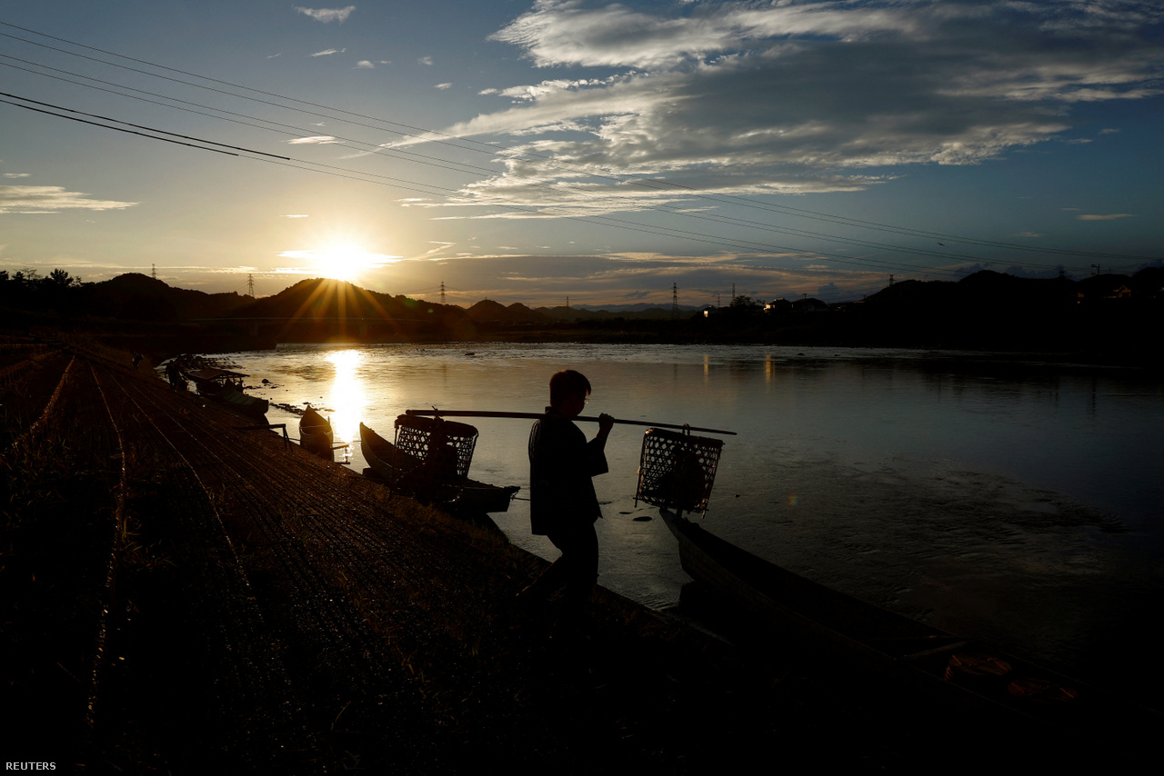 Adacsi mester 22 éves fia, Toicsiro kormoránokkal teli fedett kosarakat vissza hajójukhoz az esti halászat előtt a Nagara folyónál. Oze városa, Japán. 2023. szeptember 9. 