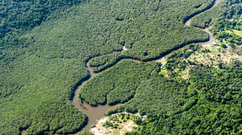 Mióta leváltották Bolsonarót, csökken az erdőirtás mértéke az amazonasi esőerdőkben