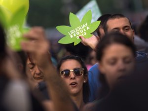 Uruguay tényleg legalizálta a marihuánát
