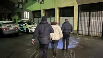 Orosz–magyar kettős állampolgár gázolt német autóval Solymáron