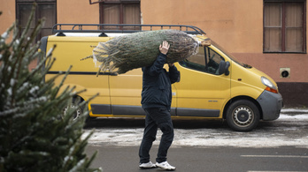 Tavaly hatezer volt, most kilencezer forint a karácsonyfa