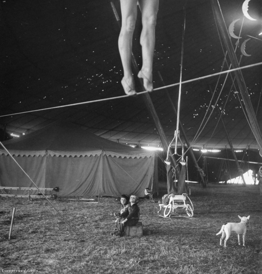 Habár a Ringling cirkusz ma már csak az állatvédelemmel kapcsolatos hírekben tűnik fel leginkább, 1949-ben Leen még a cirkusz varázslatos világáról készített riportot a Life-nak. A képen két kisgyerek nézi ámulva, ahogyan a kötéltáncos Lola gyakorol, miközben egy akrobata egyensúlyoz a háttérben. Az előtérből természetesen nem maradhatott ki a fehér kutya sem.