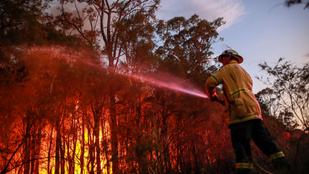 Ausztráliában hőhullám tombol, több államban megnőtt a bozóttüzek veszélye