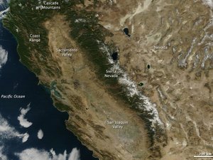 Csontszárazak a kaliforniai hegységek
