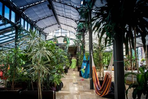 Szürke január helyett trópusi kiruccanás – Ezeken a budapesti helyeken vár dzsungelhangulat
