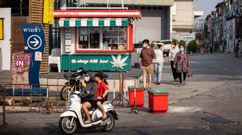 Az ország, ahol másfél év után megint betilthatják a marihuánát?