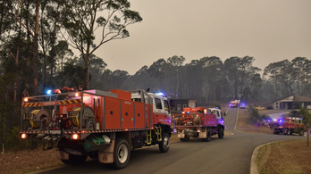 Kegyetlen hőhullám csapott le egész Ausztráliára, vödrökkel oltják a lángokat