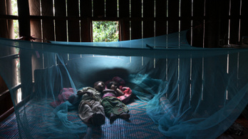 Megkezdődött a világ első malária elleni oltási kampánya Kamerunban