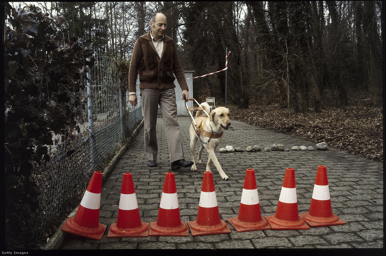1988. március 12. Kiképzés vakvezető kutyák számára
                        