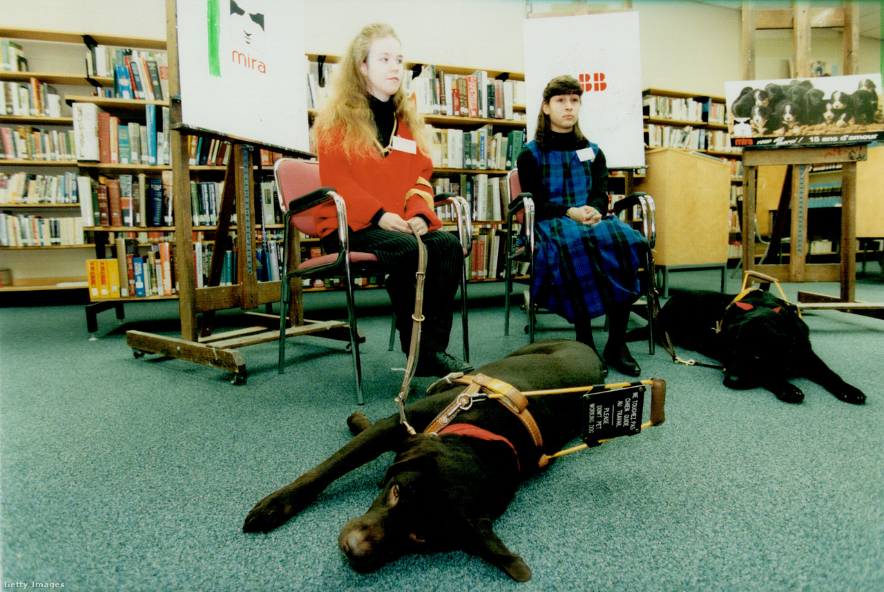 Kanada, 1995. december 14. Sarah Sackville-West Jughead-el és Nichola Johannisen Sumac-al arról mesélnek, hogy vakvezető kutyáik megváltoztatták az életüket