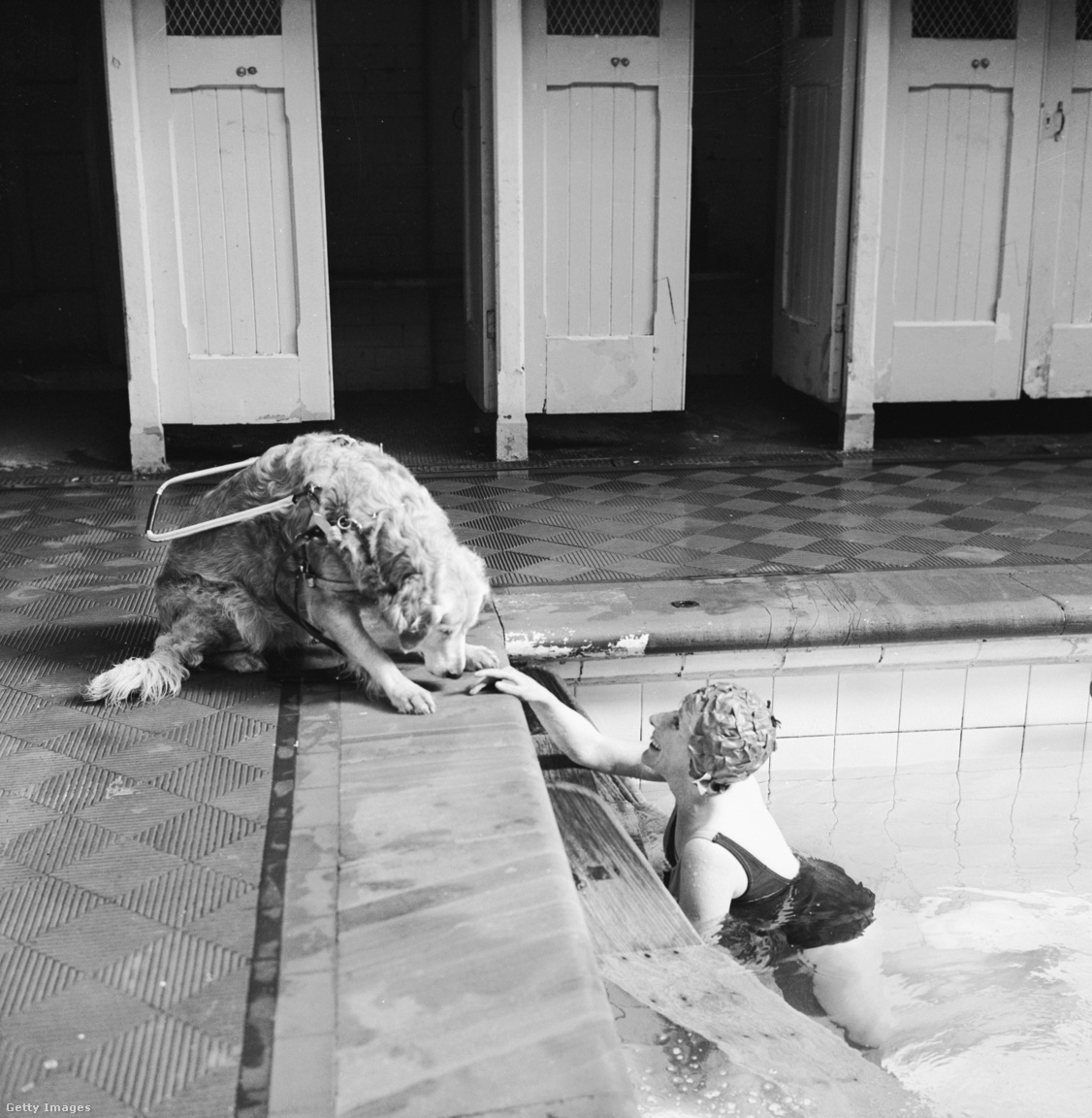 1966. március. Vak nő egy uszodában pihen, ahol vakvezető kutyája vigyáz rá