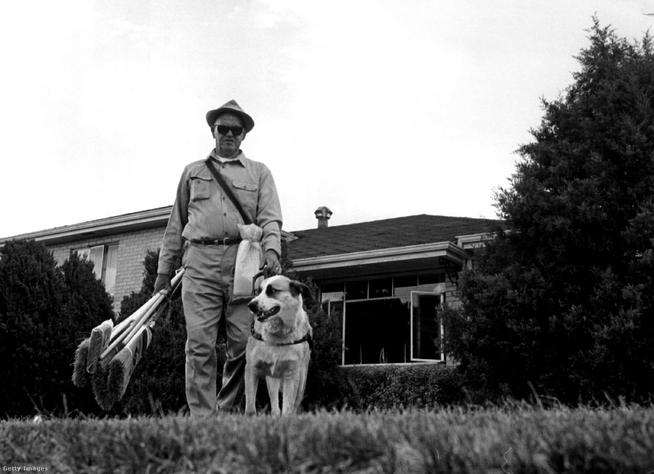 Amerikai Egyesült Államok, 1971. június 17. Joe Emmons-t a gyepen keresztül vezeti át vakvezető kutyája Buster, hogy elkerüljék a lépcsőket és a földön heverő tárgyakat
                        