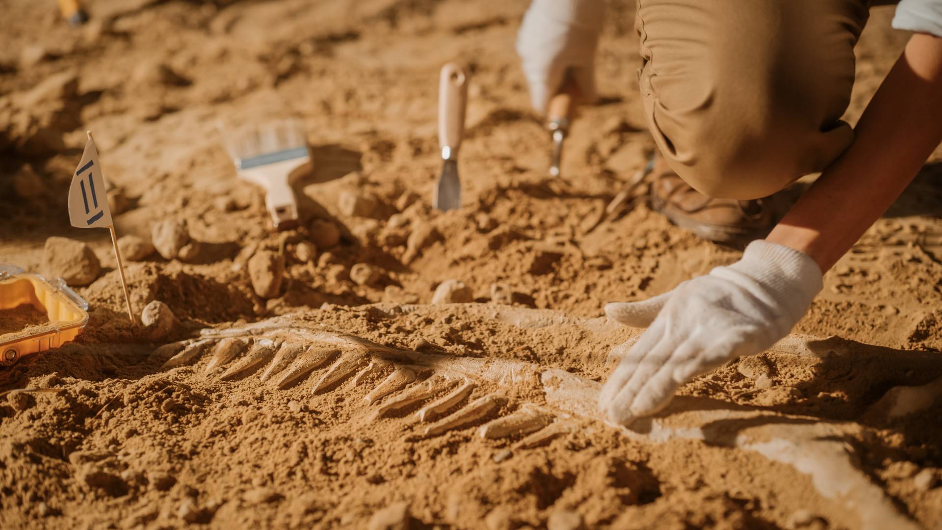 10 000 éves rágógumit találtak