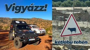 Változik a táj, tehén veszély, kecske veszély, DANGER - Total Bamako – 3. rész