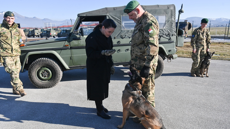 Titán és Káli, a két bombakereső kutya a szarajevói magyar misszió sztárjai