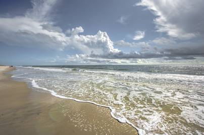 Hátborzongató tetemet mosott partra a tenger: fotók készültek a lényről