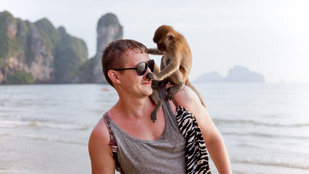 Majmok közösültek egy turista vállán – videó