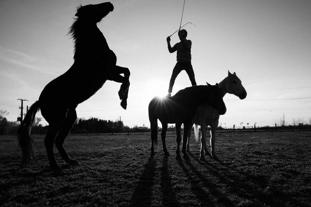 Emberábrázolás, portré (sorozat) kategória 1. díj: Suttogó – Mikó Sándor egyike annak a néhány magyar idomítónak, aki a szabadidomítás módszerével képzi ki lovait. Ő suttogó. Módszerei és kötődése a lovakhoz meghaladja a hagyományos kiképzési módokat. A suttogó fizikai erőszak helyett bizalomra, metakommunikációs jelek megértésére, kölcsönös tiszteletre, türelemre és a lovak viselkedésének mély megértésére alapozza a közös munkát, így ötvözve a lóidomítást az etológiával. A kiképzés során Sándor finom gesztusokra, mozdulatokra hagyatkozik, elhagy minden lovas eszközt, csak a pálcáját használja, amelyekkel érintés nélkül ad jelzéseket az állatoknak. A cél, minél több szabadságot biztosítani a lovaknak, egy dominancia nélküli, egyenrangú kapcsolatban, amelyekben a lovak társakká válnak, a ló és az ember megtanulják egymás nyelvét beszélni
