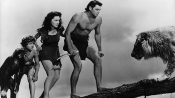 Így múlik el a dicsőség: Tarzan 100 éve etalon volt a világban, ma már sehol sem lenne