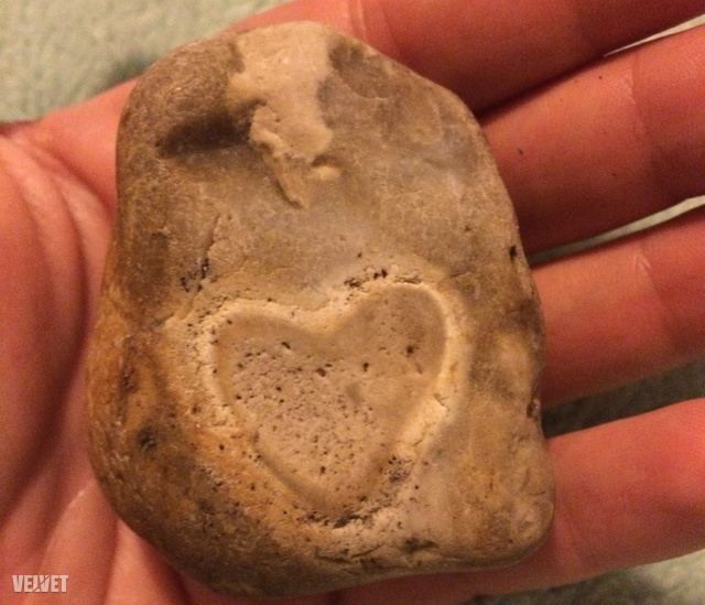 „Ezt a követ Eastbourne-től nem messze levő tengerparton találtuk, kb. 1 éve” – írta olvasónk erről a fotóról