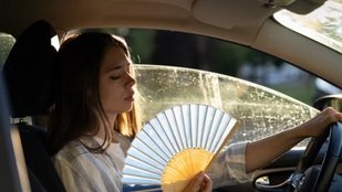 Megérkezett a híres autós napernyő - őrült jó hővédő módszer
