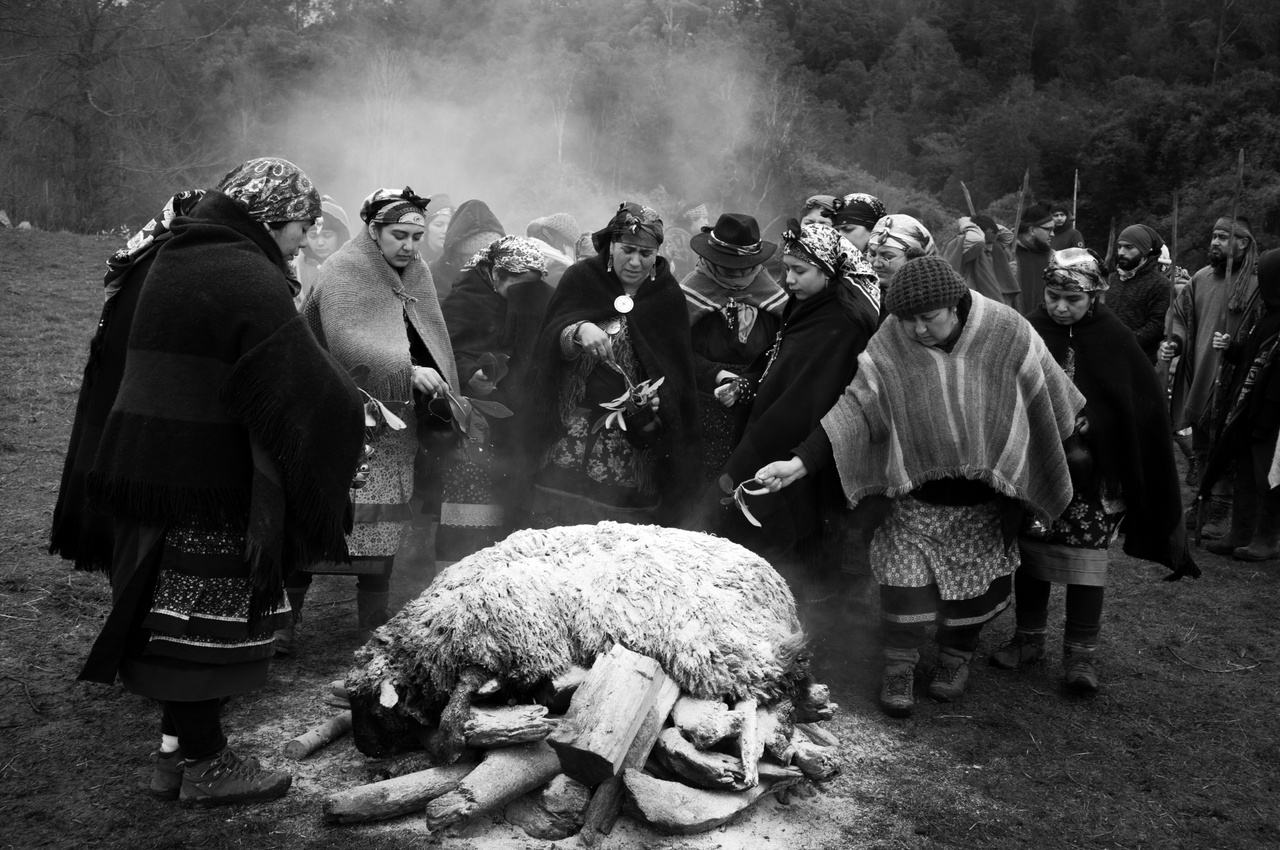 Mapucse: Az ősi hangok visszatérnek (Hosszú távú projekt - Dél-Amerika) 
                        Egy machi (spirituális vezető) transzba esett, hogy útmutatást kérjen népe számára, a mapucse indián asszonyok a hála jeleként bárányt áldoztak fel másnap reggel
                        