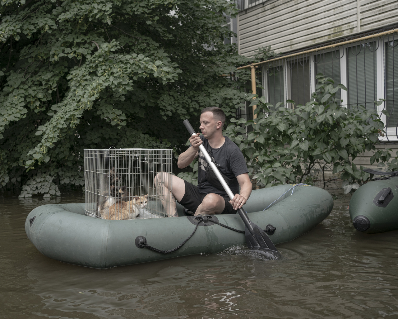 Kahovkai gát: Árvíz a háborúban (Fotósorozat - Európa)
                        Egy önkéntes macskákat ment az elárasztott kikötői negyedben. A kahovkai gát felrobbantása utáni árvíz 19 napon át tartott
                        