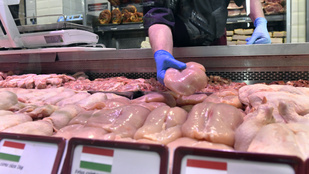 Csúcsáron dübörög a húspiac az EU-ban