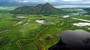 A Pantanal legendás történetei