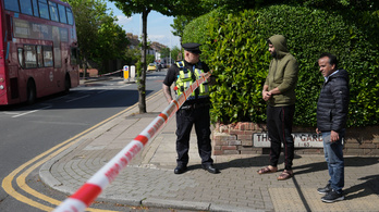 Meghalt egy tizennégy éves fiú, miután egy férfi karddal támadt a lakosokra Londonban