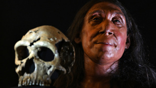 Így nézett ki a 75 000 éves nő