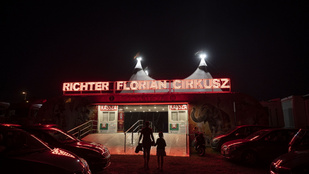 Részletek a Richter cirkuszi balesetről: Ha ott egy gyerek ül, nem élte volna túl