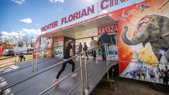 Nyomozást indított a Soproni Rendőrkapitányság a Richter cirkuszban történt baleset miatt
