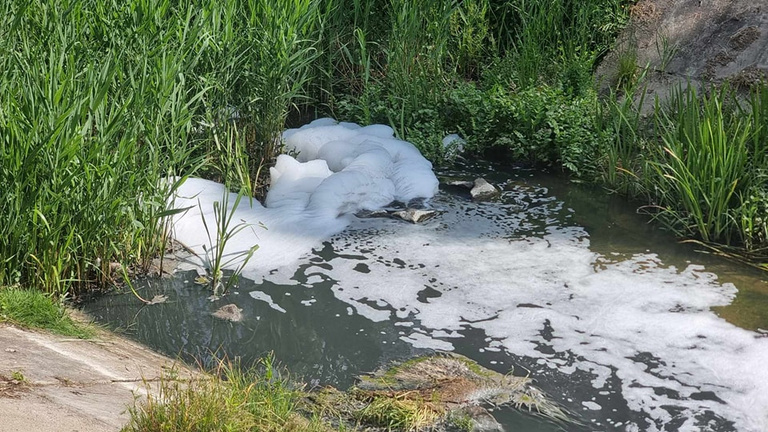 Fekete, habzó, bűzös szennyvíz ömlött a védett Tápióba, megszólalt az illetékes Nemzeti Park
