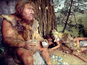 Klímaváltozás okozhatta a neandervölgyiek kihalását