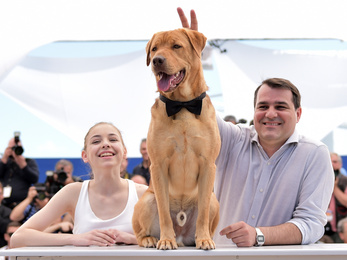 Csokornyakkendős kutyát vittek a magyarok Cannes-ba