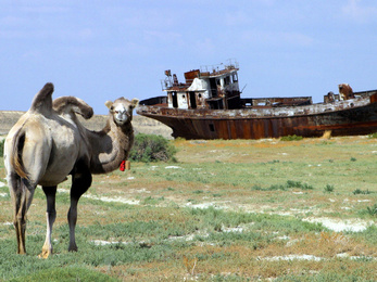 Megmenekülhet az Aral-tó a pusztulástól