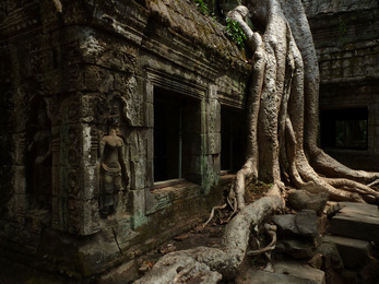 Titokzatos festmények vannak Angkorvat falain
