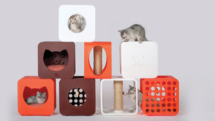 Designer házak macskáknak, amikkel jótékonykodhat is