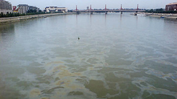 Hatalmas olajfolt úszik a Dunán