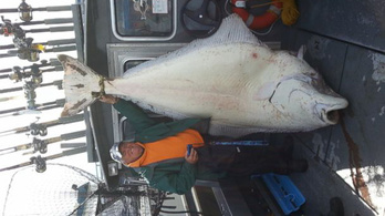 218 kilós nyelvhalat fogott a horgász