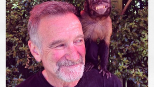 Ez a legutolsó fotó Robin Williamsről