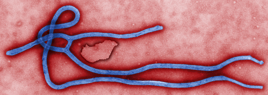 ebola hun