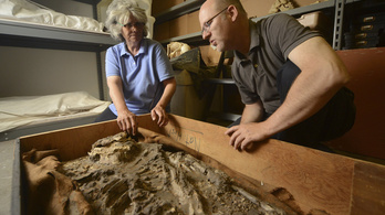Találtak a pincében egy 6500 éves csontvázat