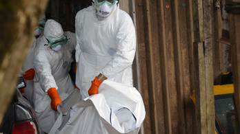 70 millió embert fenyeget az ebola